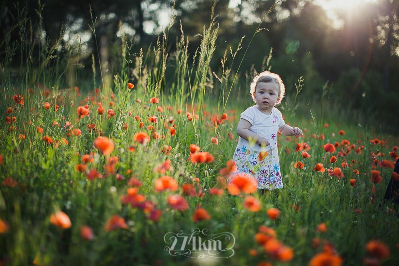 Sesi&oacute;n de fotos familiar en campo de amapolas en primavera en barcelona (9)