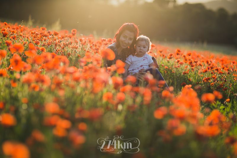 Sesi&oacute;n de fotos familiar en campo de amapolas en primavera en barcelona (1)