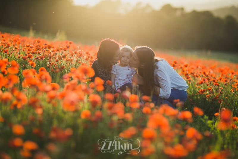 Sesi&oacute;n de fotos familiar en campo de amapolas en primavera en barcelona (12)