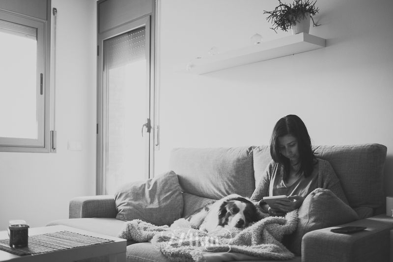 vivir con perro border collie (23) vivir con perro border collie (23)