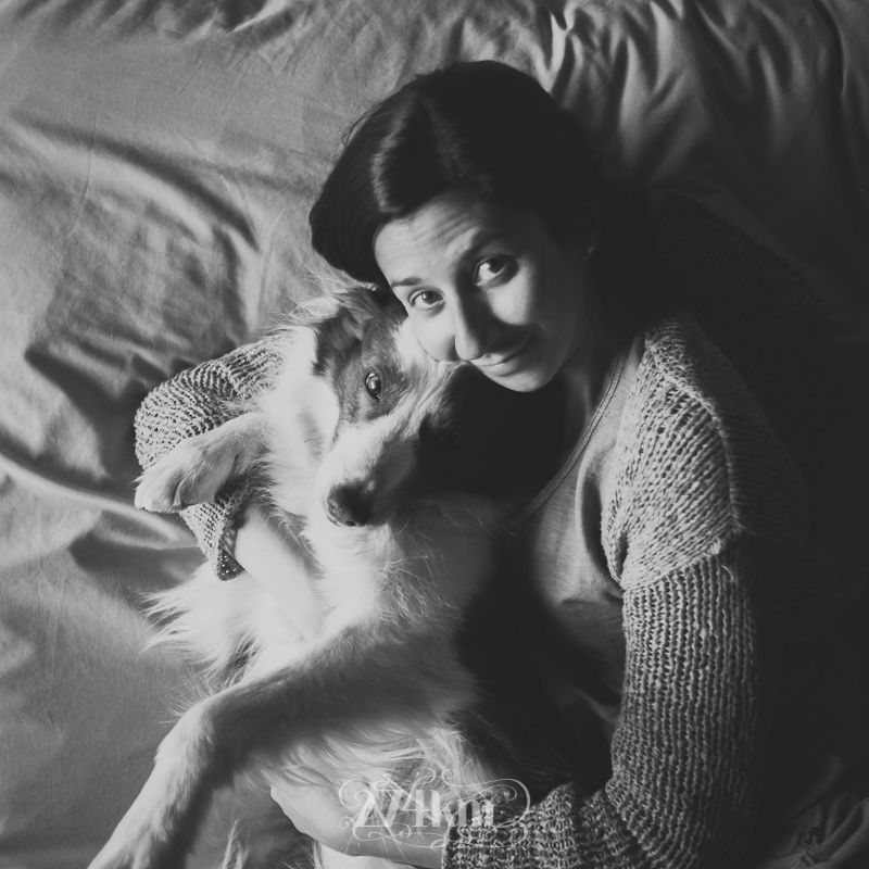 vivir con perro border collie (3) vivir con perro border collie (3)