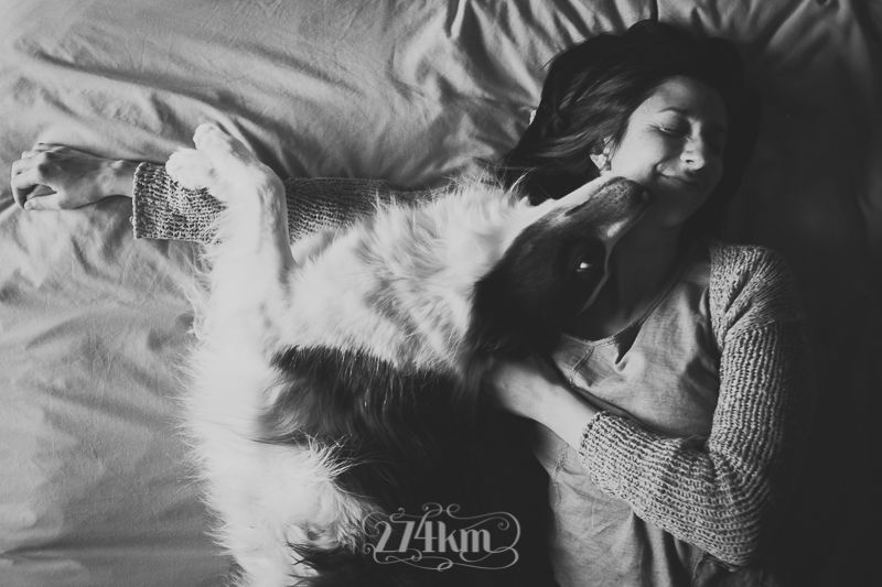 vivir con perro border collie (2) vivir con perro border collie (2)