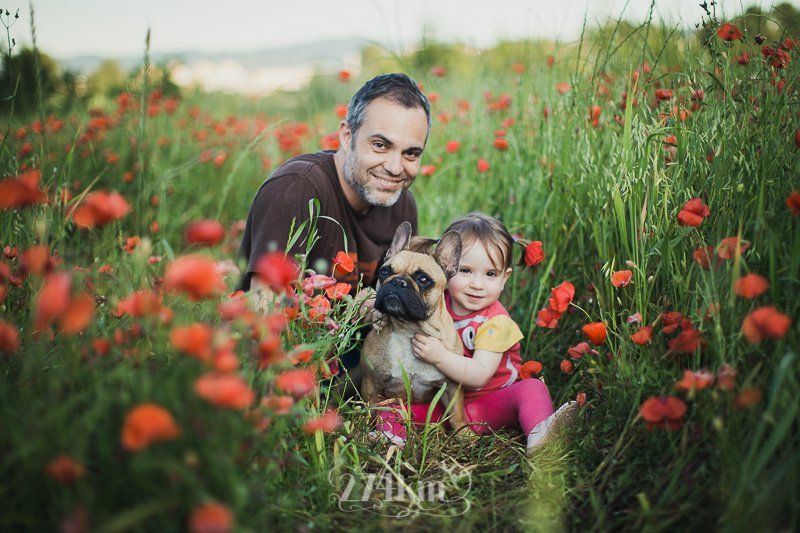 sesión de fotos familiar en primavera con amapolas y perro en barcelona (13) sesión de fotos familiar en primavera con amapolas y perro en barcelona (13)